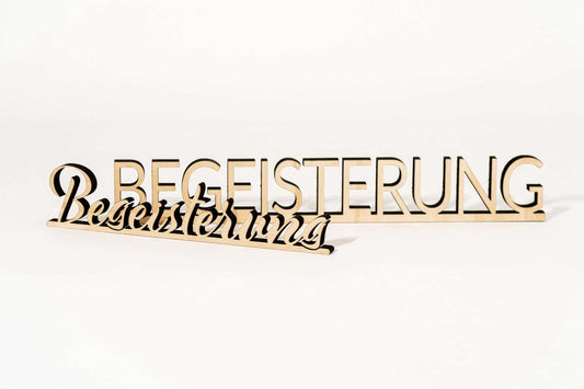 Begeisterung