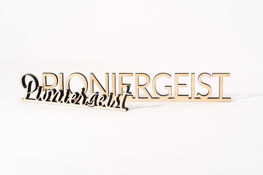 Pioniergeist