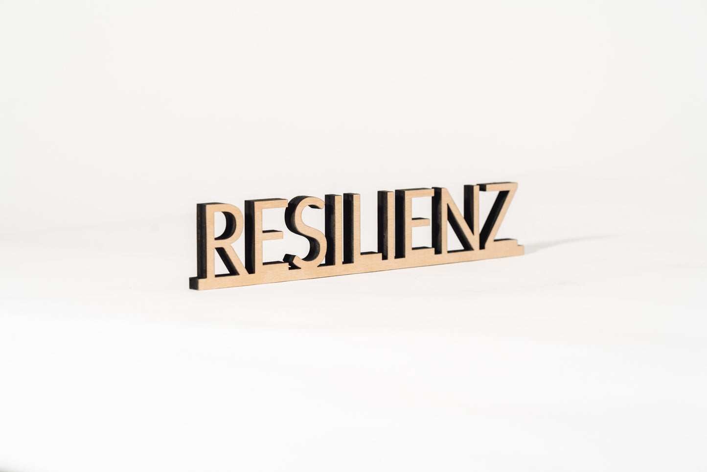 Resilienz