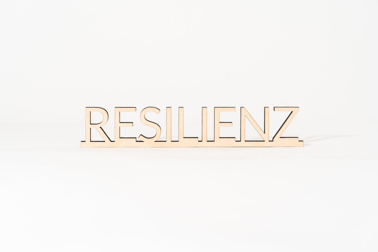 Resilienz