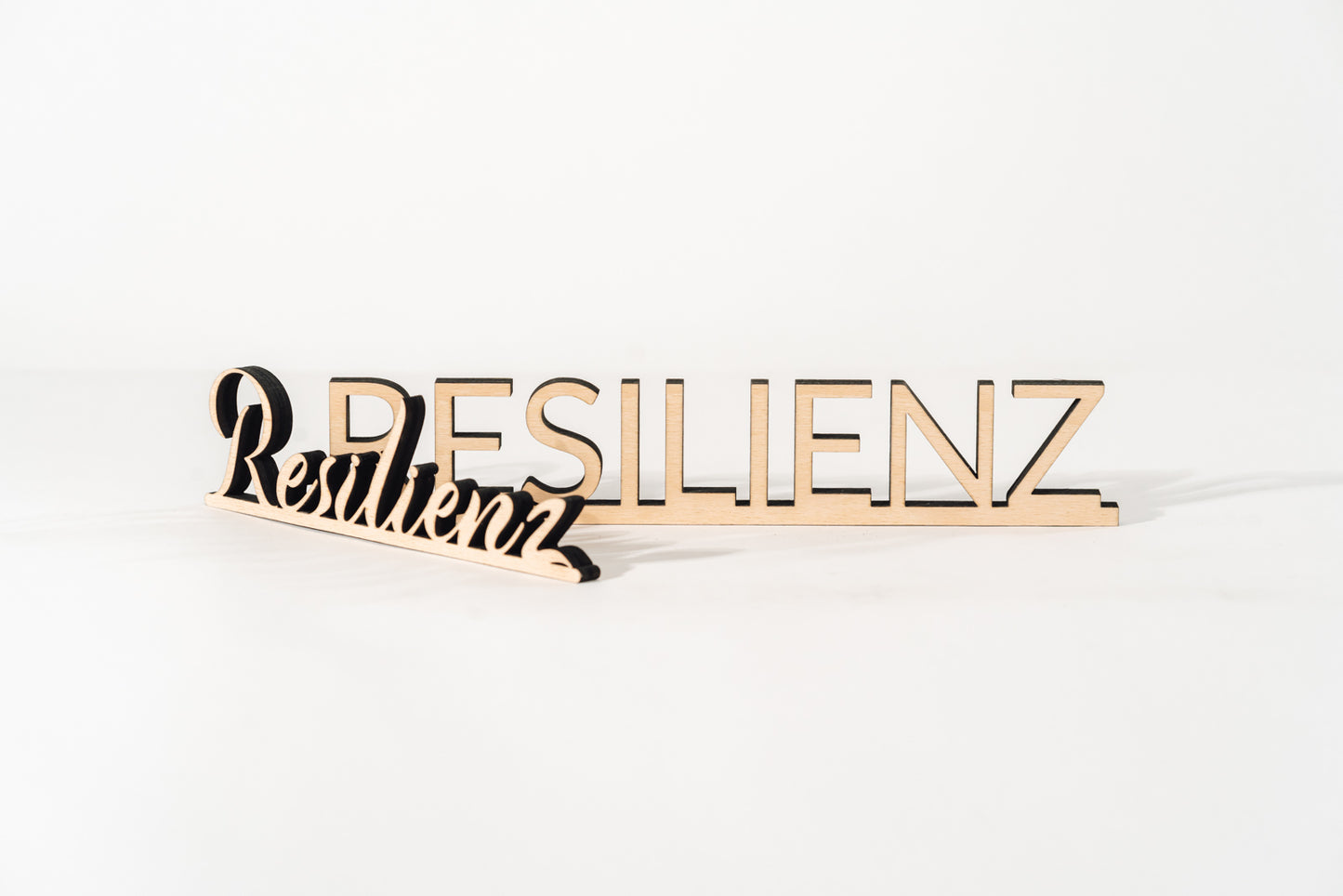 Resilienz