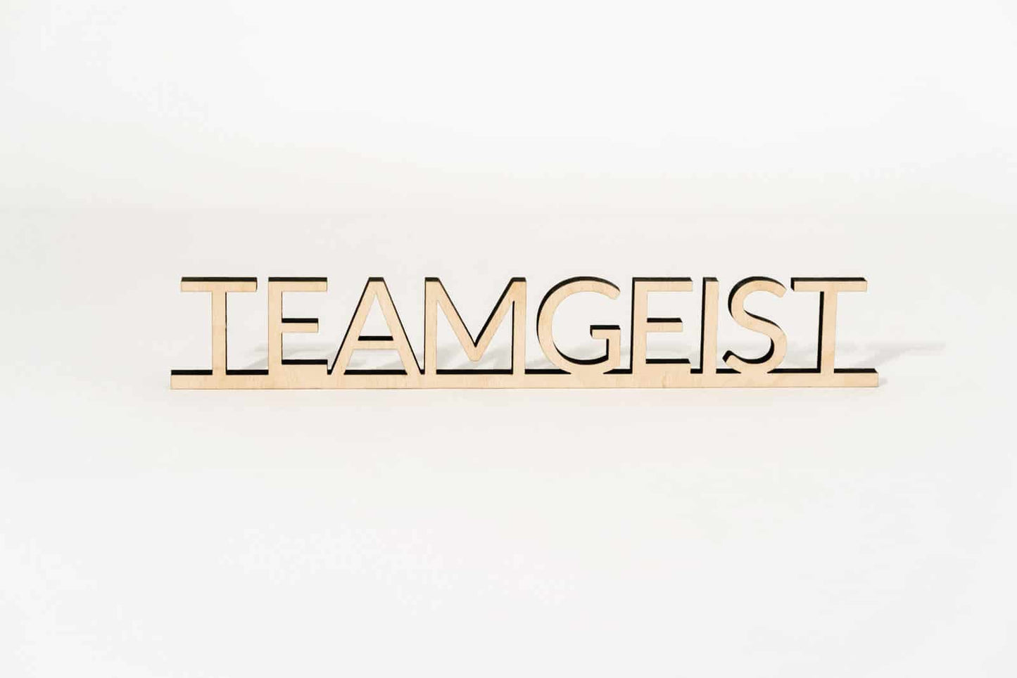 Teamgeist