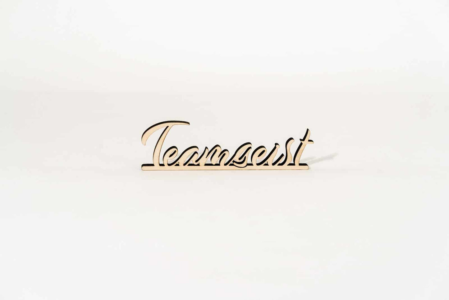 Teamgeist