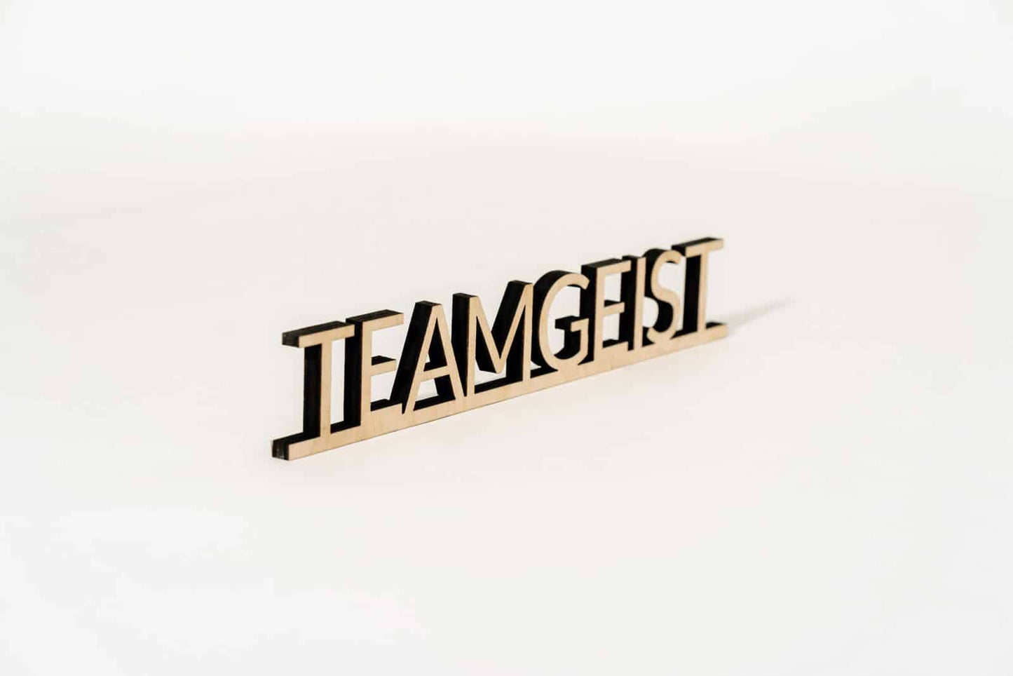 Teamgeist