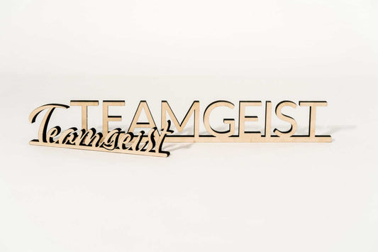 Teamgeist