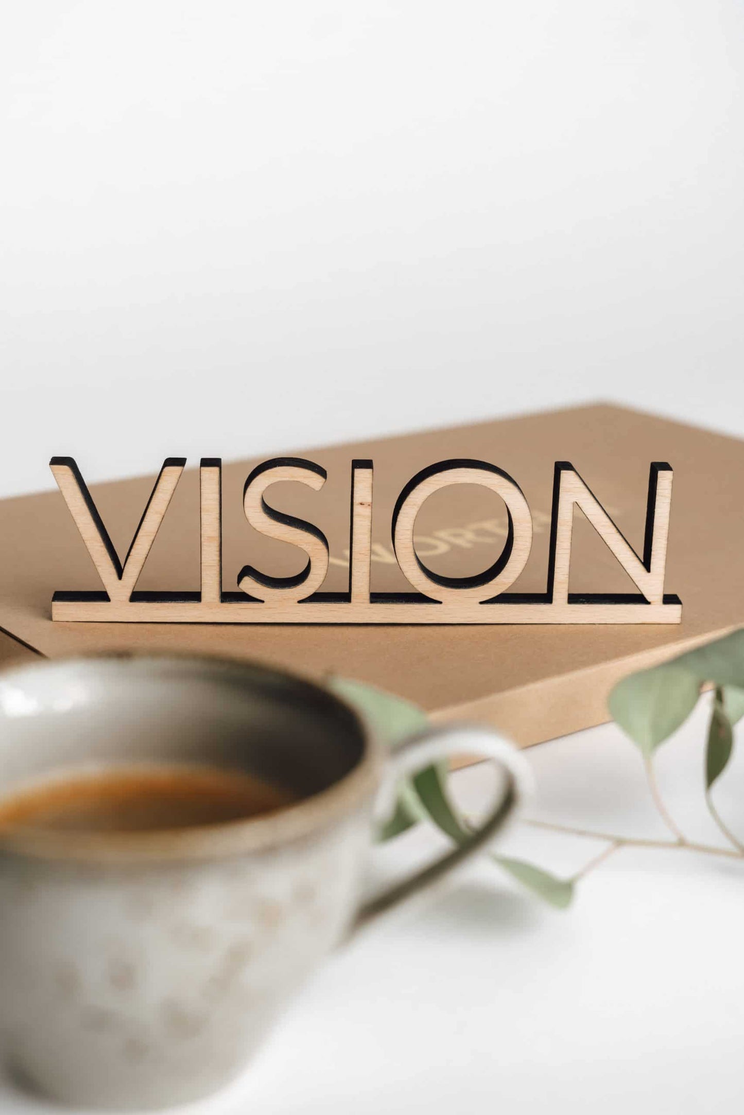 Vision