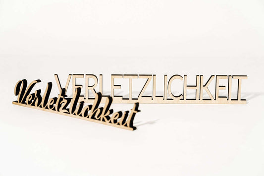 Verletzlichkeit
